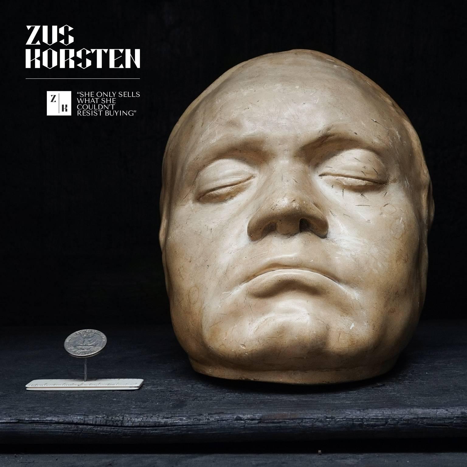 beethoven face mask