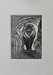 Collezione di cinque stampe su legno Art Deco di Jan Schonk