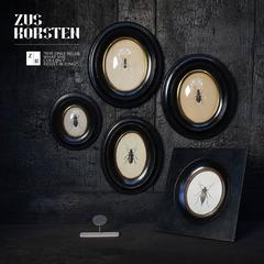 Five Little 19th Century Victorian Frames with Entomological Beetle Prints