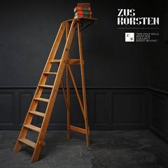 Early 20th Century Dutch Ashwood Museum or Library Ladder