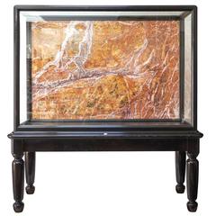 großer Museumsschrank oder Vitrine aus dem 19. Jahrhundert von Holland und Söhne