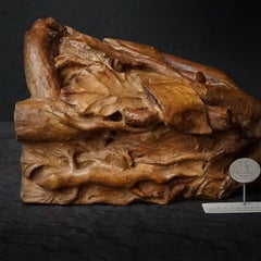 18th Century Carved Oak Bracket or Console with Acorns Marked 'Da Robur'