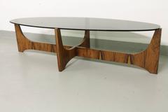 Hugues Poignant Rosewood Coffee Table