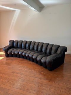 de Sede DS-600 12 Element ''Non Stop'' Sectional Sofa by Ueli Berger, Eleanora P