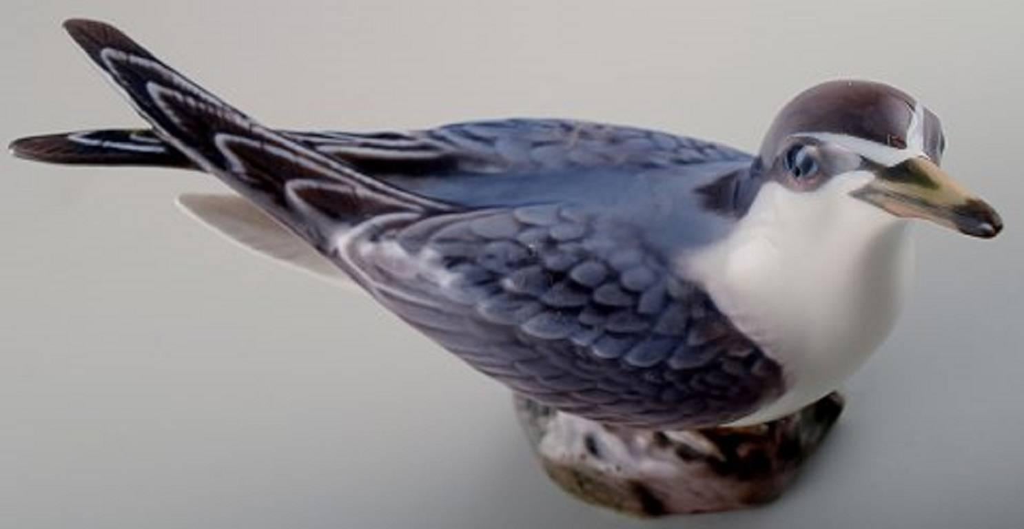 Danish Dahl Jensen Bird No. 1319 Little Tern 15 Cm