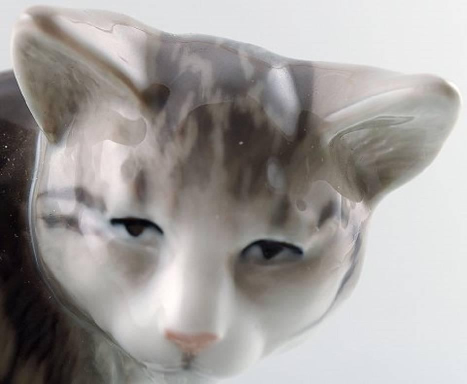 Seltene Royal Copenhagen Porzellanfigur Nummer 301:: sitzende gestreifte Katze. 

Perfekter Zustand:: 1. Werksqualität. 

Messen: 12.5 x 12 cm.