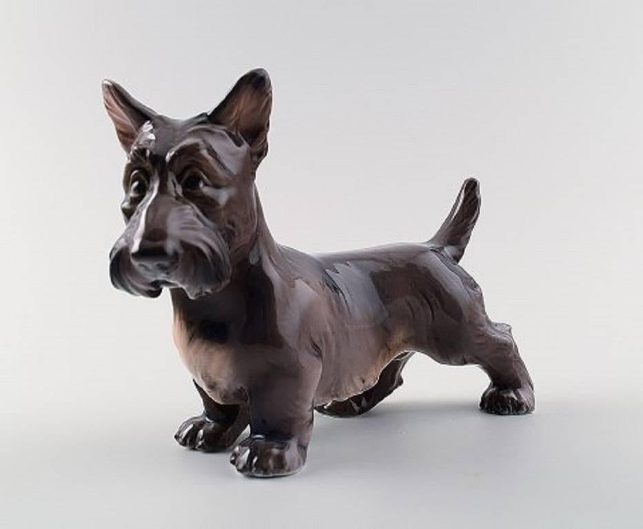 Dahl Jensen number 1066, Scottish Terrier standing (DJ).

Measures 17 cm.

Marked with Royal Crown and DJ Copenhagen.

2. factory quality, in good condition.