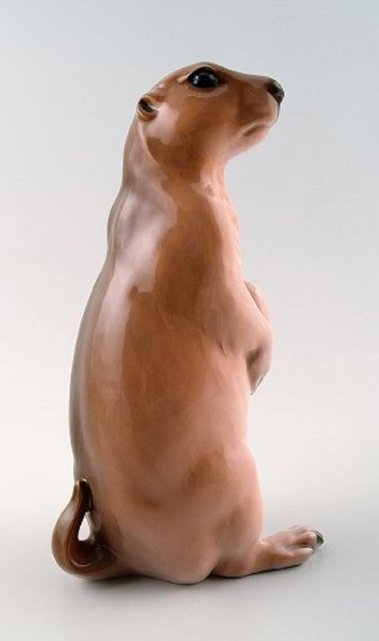 Rare Royal Copenhagen marmot number 1096.

Perfect condition, 1st. factory quality.

Rarely seen figurine.

Measures 21 cm.