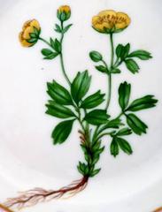 Royal Copenhagen Flora Danica Plate