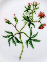 Royal Copenhagen Flora Danica Plate