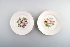 Seven Antique B&G Bing & Grondahl Plates Decorated with Flowers, circa 1870