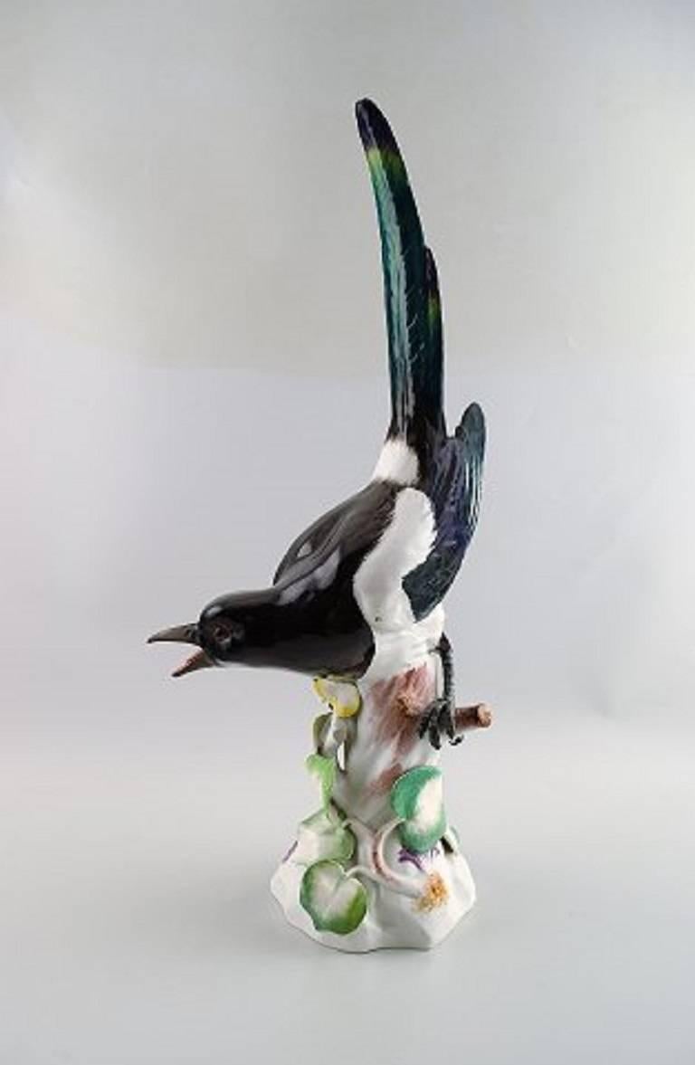 Meissen figure, very large bird porcelain.

Measures: 53 x 13 cm.

In perfect condition. 1st. factory quality.