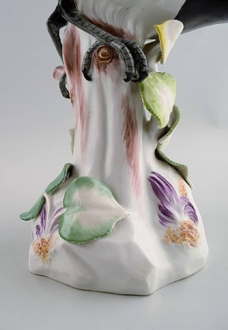 Meissen Figure, Very Large Bird Porcelain 2