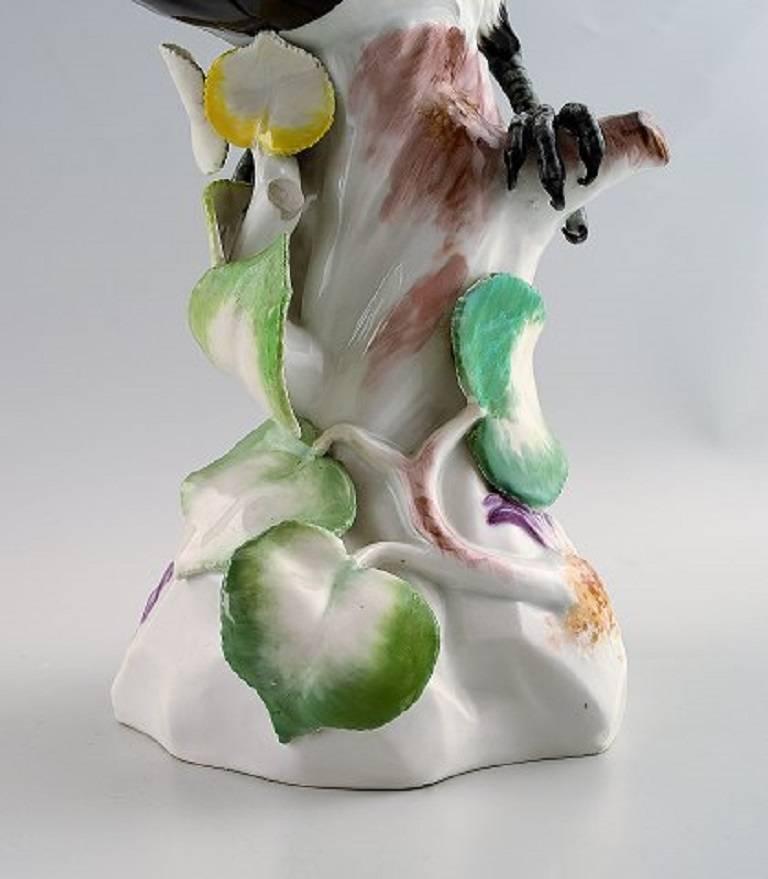 Meissen Figure, Very Large Bird Porcelain 1