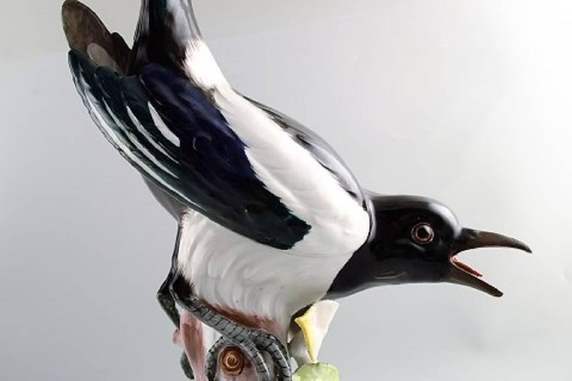 German Meissen Figure, Very Large Bird Porcelain