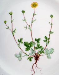 Royal Copenhagen Flora Danica Openwork Plate # 20/3554