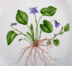 Royal Copenhagen Flora Danica Openwork Plate # 20/3554