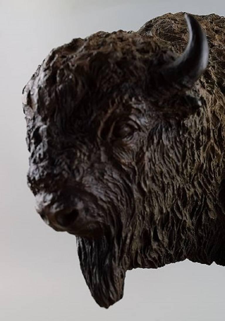 bison bronze