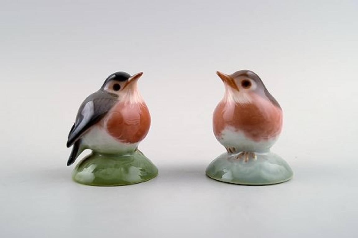 Five Royal Copenhagen and B & G, Bing & Grondahl porcelain figurines.

Ducks, goose, three birds.

Marked.

1st. factory quality. In perfect condition.

Largest figure measures: 9 cm. x 6.5 cm.