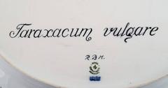 Royal Copenhagen Flora Danica Large Oval Serving Platter