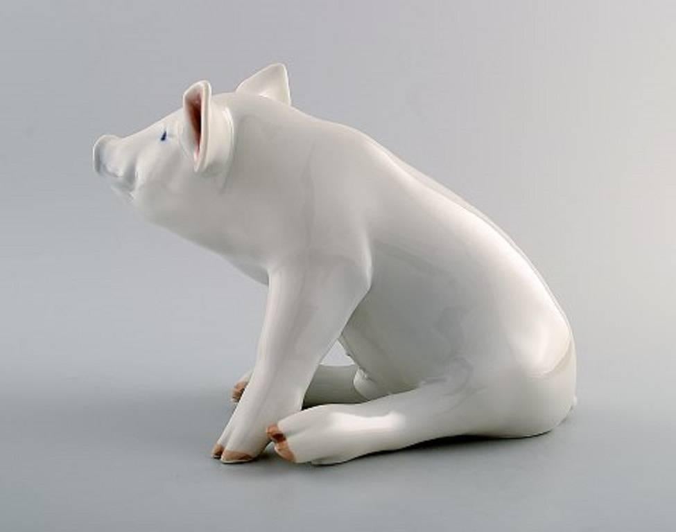 Royal Copenhagen porcelain large pig, number 414.

Measures: 27 x 17 cm.

1. Quality in perfect condition.