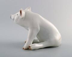 Royal Copenhagen Porcelain Large Pig, Number 414