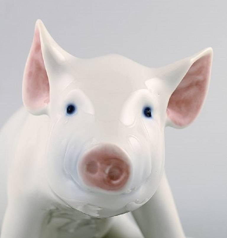 20th Century Royal Copenhagen Porcelain Large Pig, Number 414
