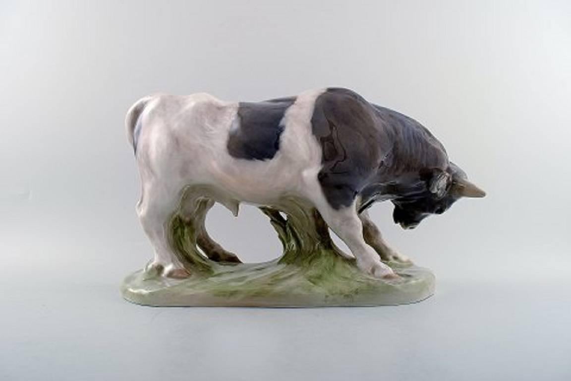 Royal Copenhagen number 1195 large bull. Designed by Knud Kyhn.

Measures: 22 x 38 cm.

In good condition, 2nd factory quality.
