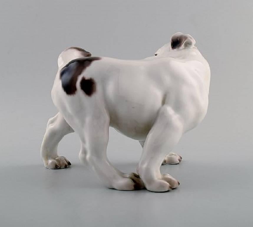 Bing & Grondahl Hund B&G, Nummer 1992, Englischer Bulldogge (Skandinavische Moderne) im Angebot