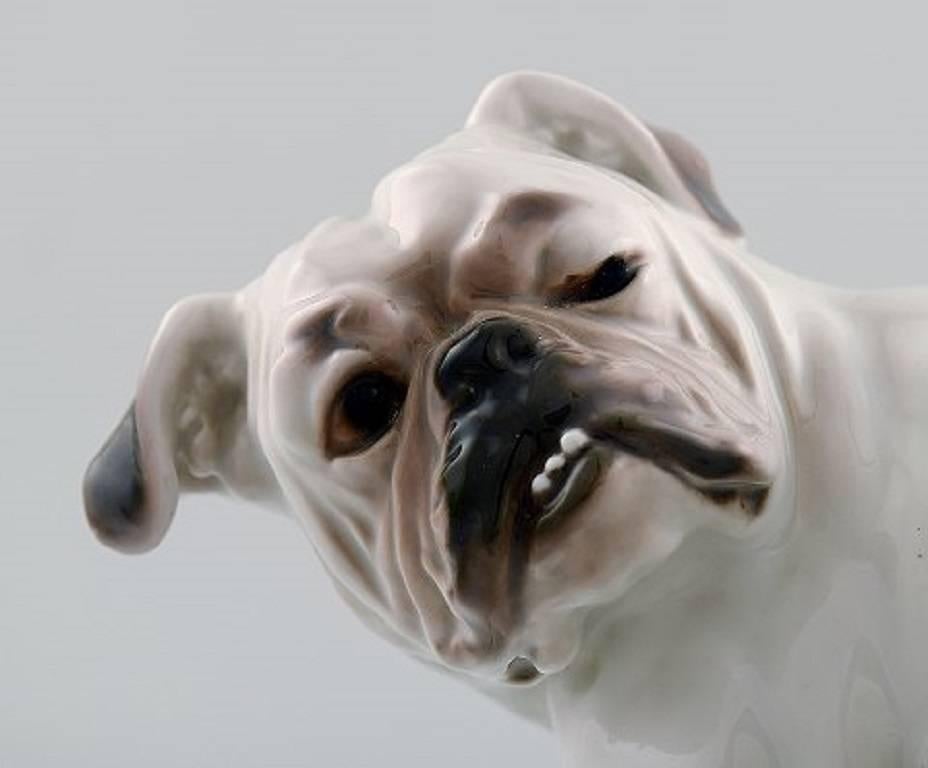 Danish Bing & Grondahl Dog B&G, Number 1992, English Bulldog For Sale