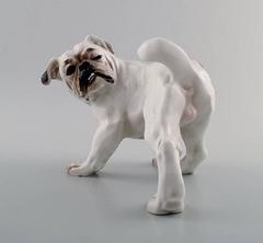 Bing & Grondahl Dog B&G, Number 1992, English Bulldog