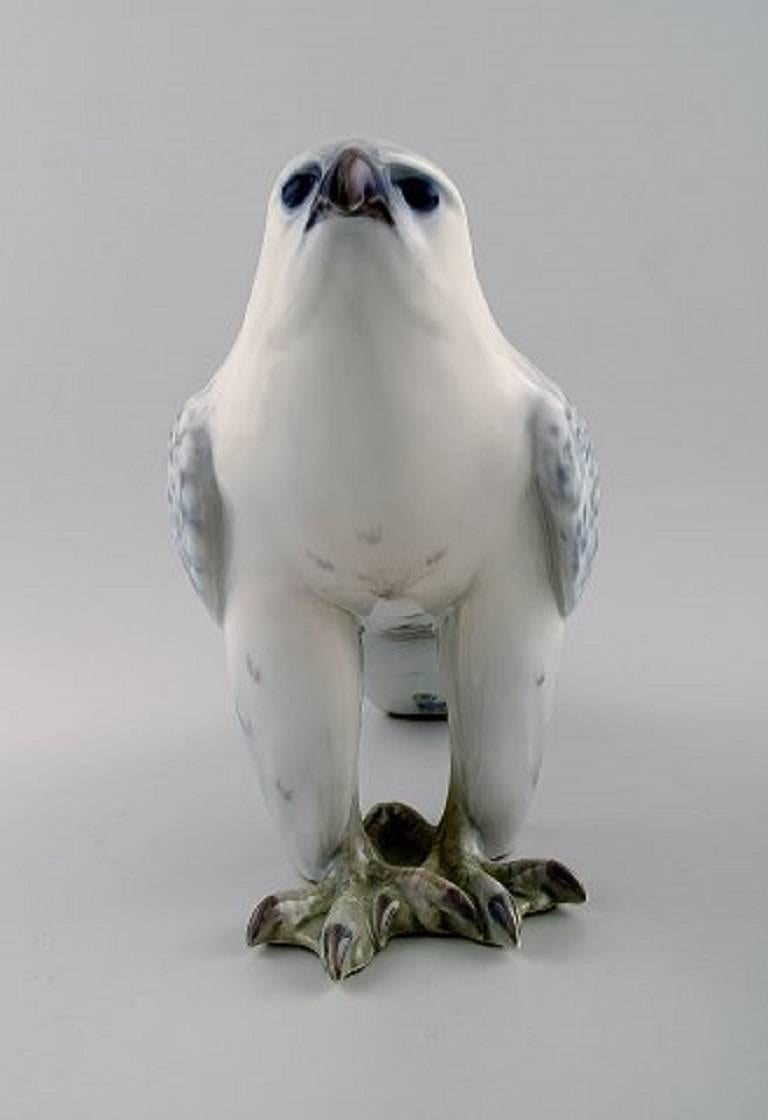 royal copenhagen falcon