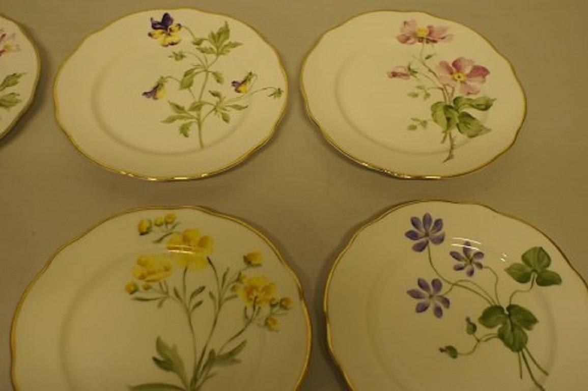 11 Rörstrand Art Nouveau plates. Hand-painted, different flowers,

circa 1900.

18 cm. in diameter.

Perfect condition.