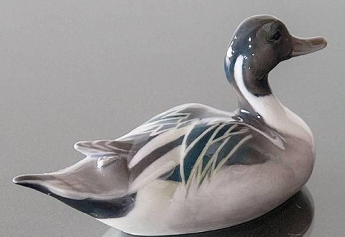 Canard Royal Copenhagen, figurine numéro 1933.

Technique : Sous-glaçure.

Concepteur : Peter Herold.

N'est plus en production. 

Dimensions : 16 cm. de long.

Premier exemplaire d'usine, en parfait état.