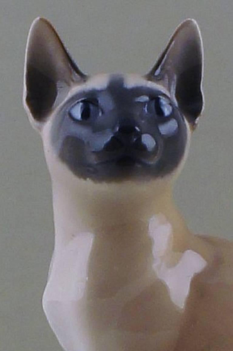 Royal Copenhagen Siamese cat # 3281. 

In good condition. Factory second. 

20.5 cm. high.