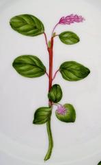 Royal Copenhagen Flora Danica Salad Plate # 20/3573