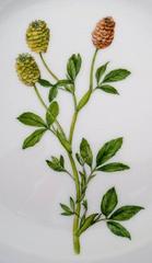 Royal Copenhagen Flora Danica Salad Plate