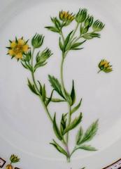 Royal Copenhagen Flora Danica Salad Plate