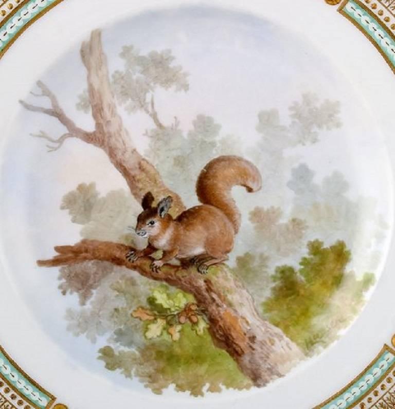 Royal Copenhagen Flora Danica/ fauna Danica dinner plate with motive of a squirrel in landscape.

Painted in high quality. 25.5 cm. in diameter.

1. Quality, in perfect condition.

Model No. 239/3549.