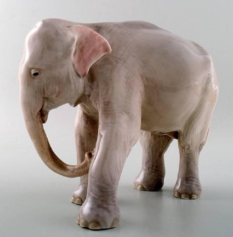 Royal Copenhagen figurine young Elephant # 501.

Measures 18 cm. x 20 cm.

In perfect condition. 1st. factory quality.

Designed by Theodor Madsen.