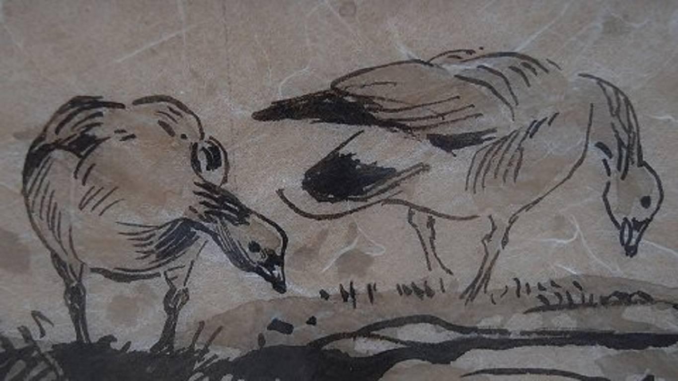 Leif Rydeng, Well Listed Danish Artist, Two Bird Studies For Sale 2