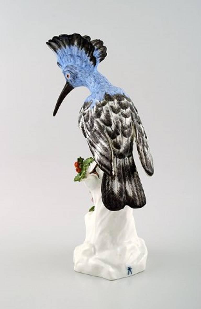 Rare Meissen figure of exotic bird porcelain, circa 1900.

Figure of very high quality.

Measures: 28.5 x 14 cm.

In perfect condition. factory 1st.