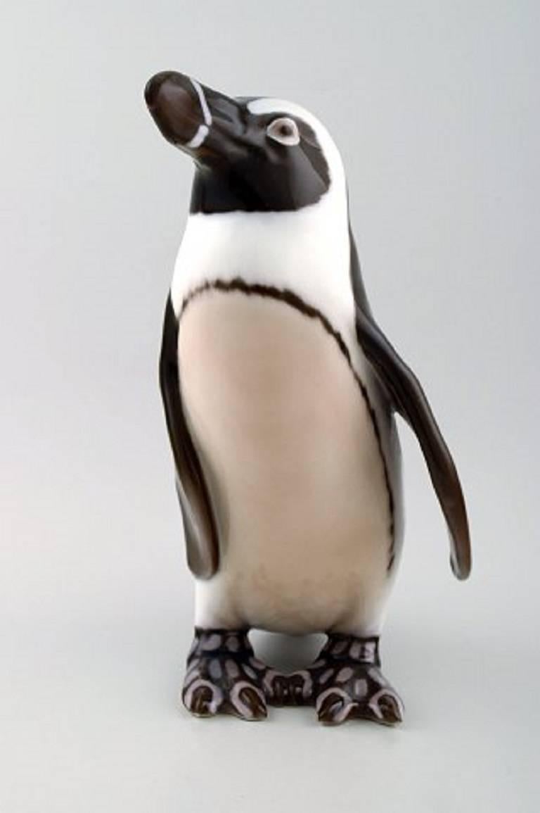 madsen penguin
