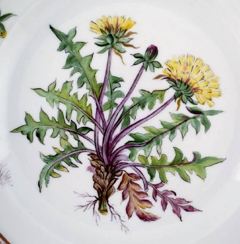 Royal Copenhagen Flora Danica dinner plate # 20/3549.

Measures: 25.5 cm. in diameter.

Second factory quality, in good condition.