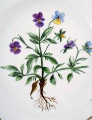 Royal Copenhagen Flora Danica Dinner Plate