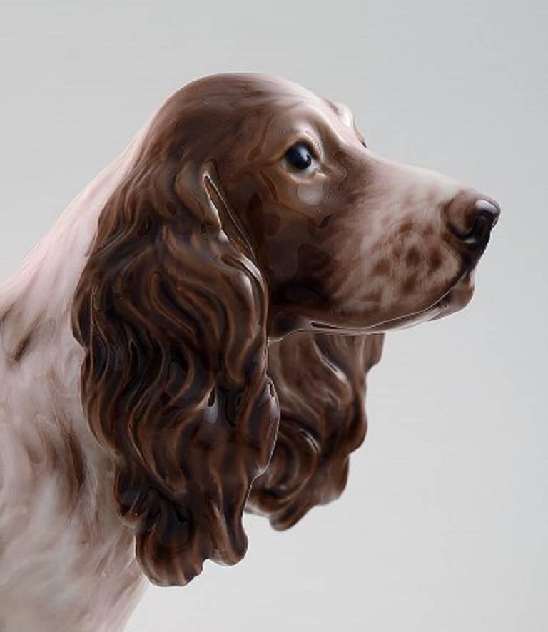 Dahl Jensen 1145 cocker spaniel porcelain figurine.

Measures 17.5 cm.

1st. factory.

In perfect condition.