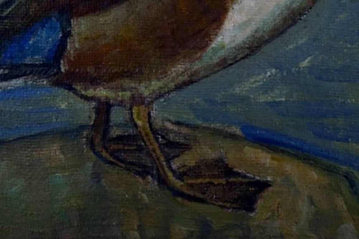 Danish Artist, Dated 1918 Mandarin Duck, Oil on Canvas 1