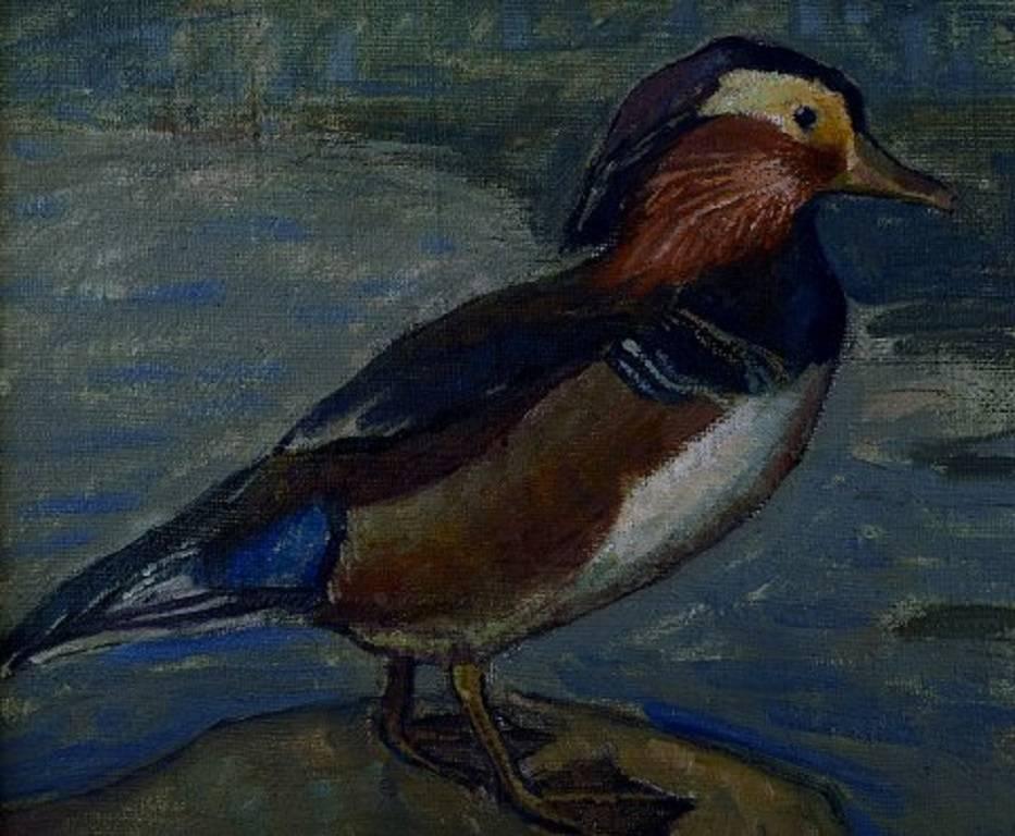 Danish Artist, Dated 1918 Mandarin Duck, Oil on Canvas In Excellent Condition In Copenhagen, DK
