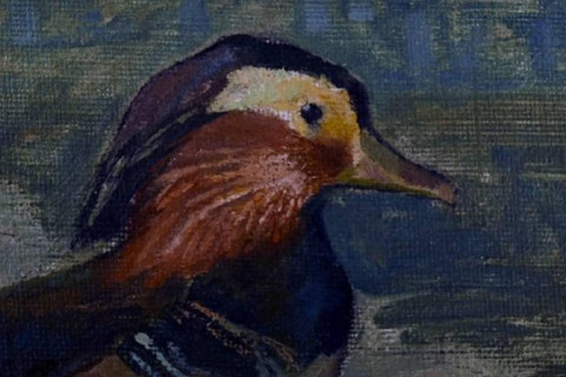Early 20th Century Danish Artist, Dated 1918 Mandarin Duck, Oil on Canvas