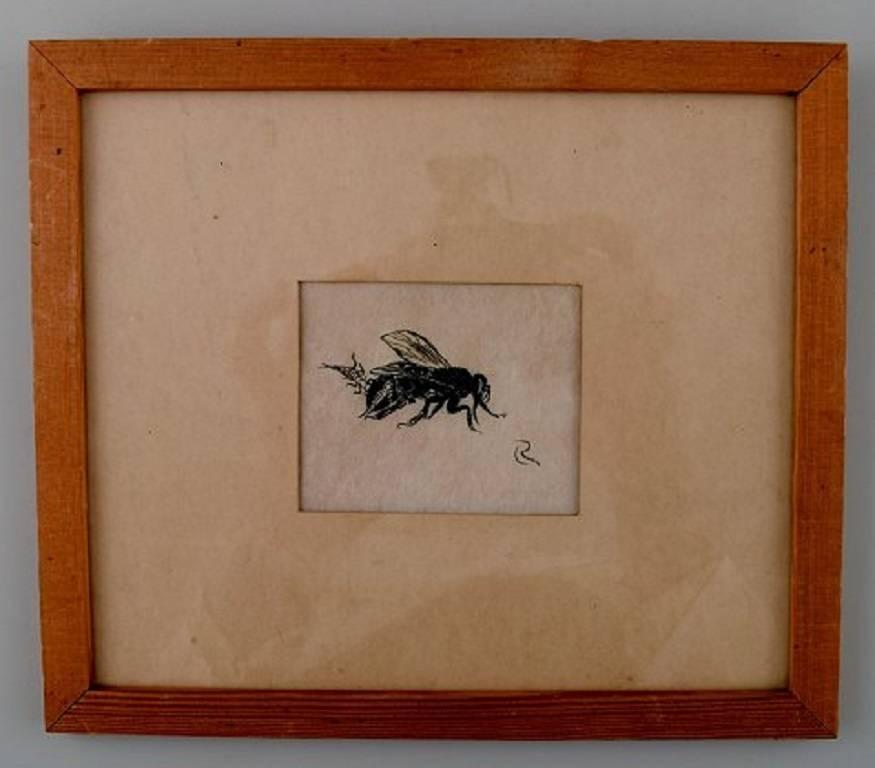 Leif Rydeng: b. Elsinore 1913 d., 1975.

Study of wasps.

Signed.

Watercolor on Japan paper.

Visible size 7.5 x 6.5 cm. Total dimensions: 16 x 18.5 cm.

In very good condition.